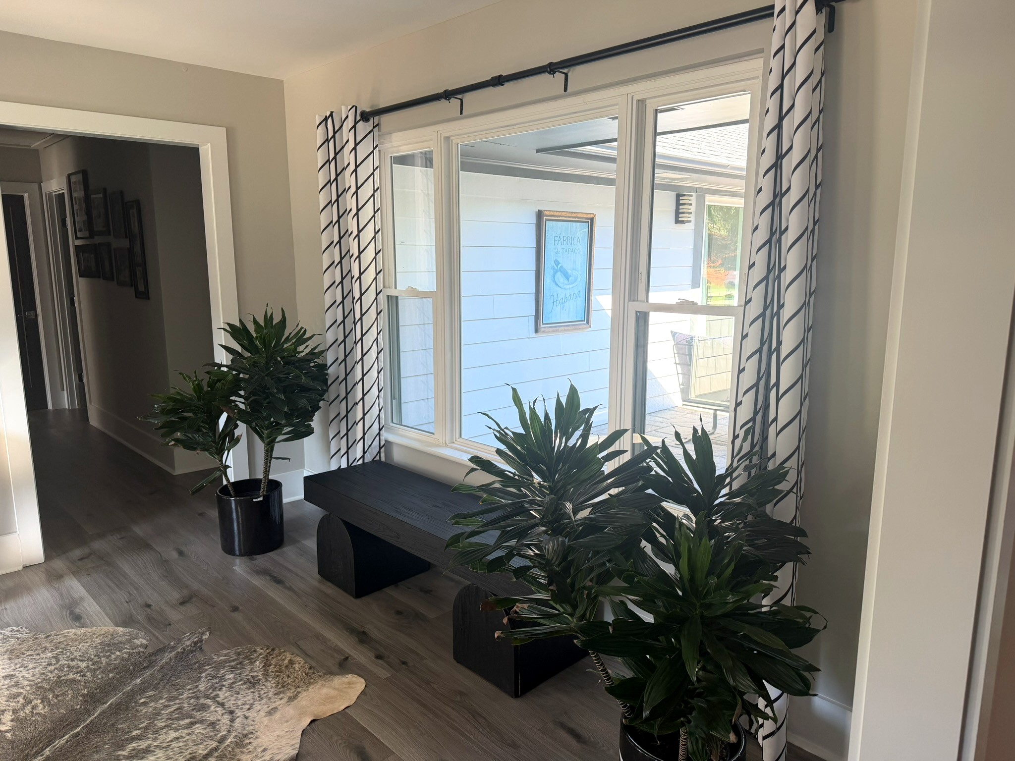Window nook with black-and-white lattice drapery, a low black bench, and layered dracaena plants